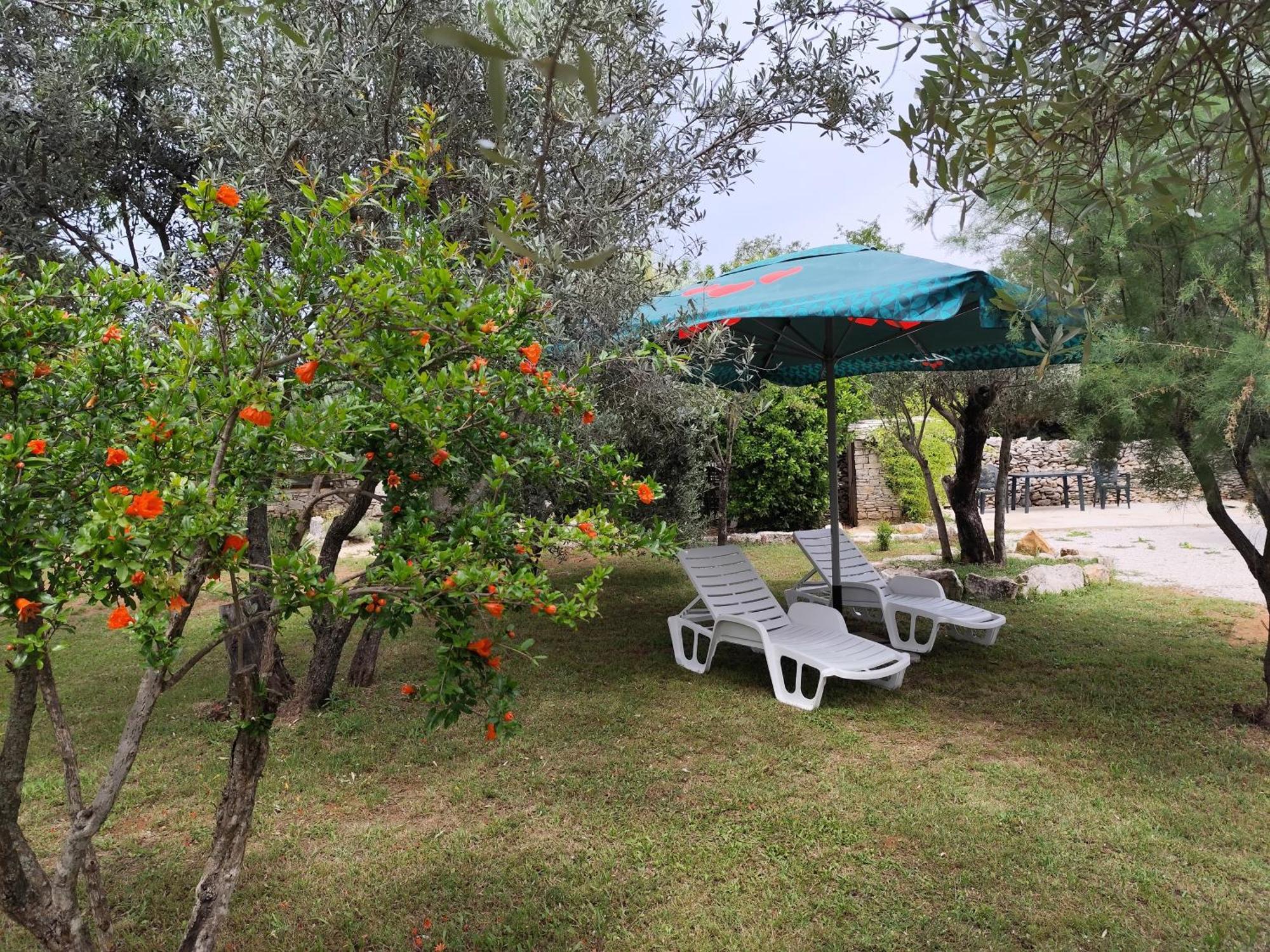 Ferienwohnung Marti'S House In The Olive Grove Fažana Exterior foto